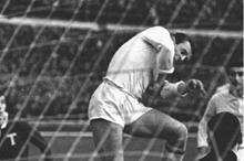 63aef50f4236042ec47e3763