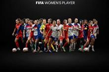 6941b76f4c59b71385777ff7