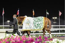 62357b384236046c7a2349aa