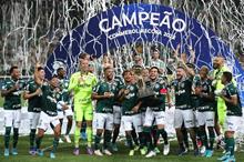 Palmeiras2