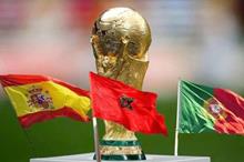 65f9df074c59b77b497f622d