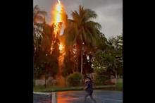 67c33fbd4c59b727965095e5