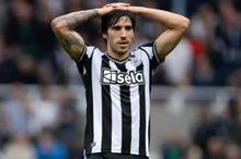 92411f74-37b7-425b-bee4-e35341b54852