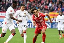 afp_20230226_20230226-afp_33a42m9_afp