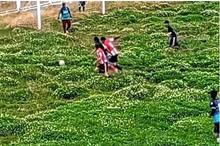 660d28fd4236040db365439a