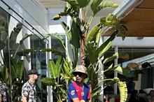 680e137d4236041dab48e539