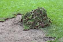 682b9a7642360445c933bd33