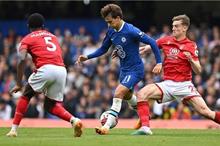 afp_20230513_20230513-afp_33ez2rd_afp