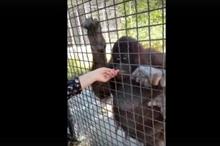 68665bc54c59b77a1e5970ee