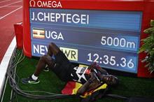 5f377390423604046552b6ea