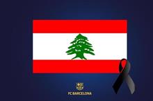 5f29c3b94c59b73be1223648