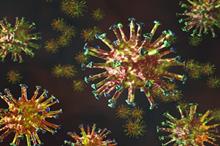 66b209b542360416847ea8fe