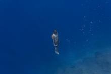 68a5b4bf4c59b713ba2032d0