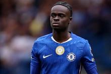 97e1f0f8-a95d-4b7c-81e3-ccc688652f97