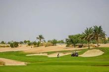 dfc06abe-6edf-48a2-a114-a1617e951816